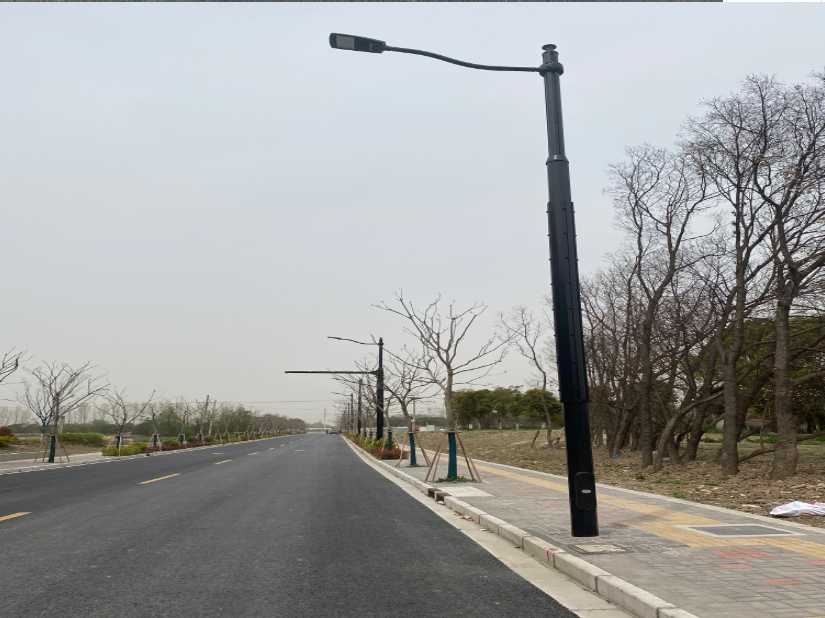 东兰县上海综合杆 太阳能路灯工程